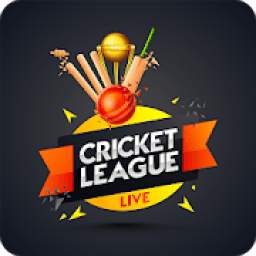 Cricket Score Hub - Live Cricket Scores