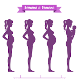 Embarazo Semana a Semana icon