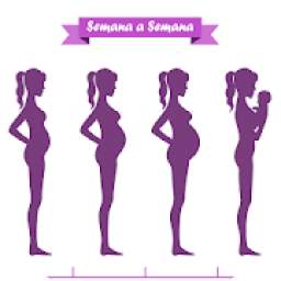 Embarazo Semana a Semana 1.0