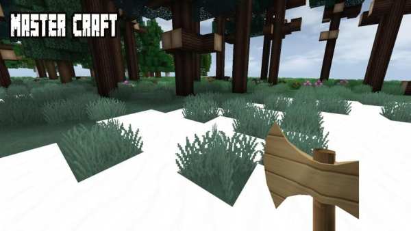 Master Craft New MultiCraft Games screenshot 2
