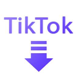 Tik Tok Video Downloader