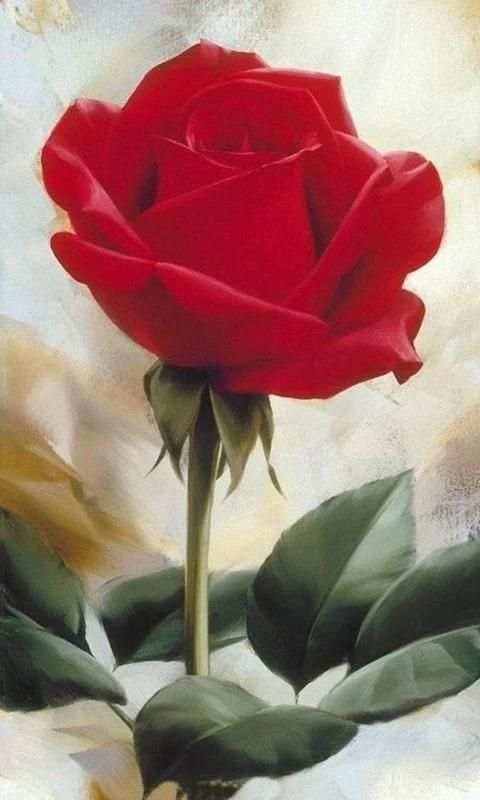 Imágenes De Flores y Rosas Románticas screenshot 1