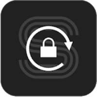 ikon Schonell Access