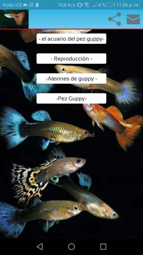 cria guppy स्क्रीनशॉट 3