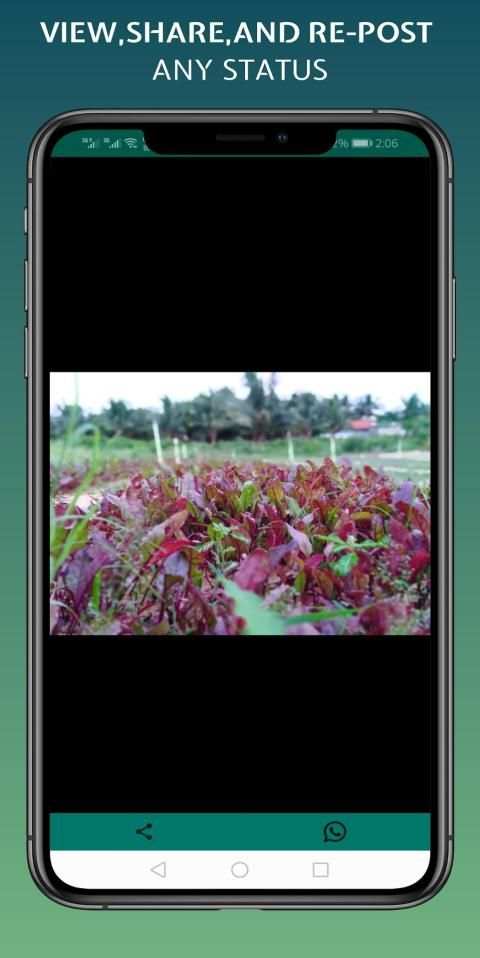 Status Saver for WhatsApp Image Video Downloader screenshot 6