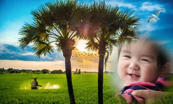 Beautiful Village Nature Photo Frames Application screenshot 7