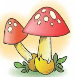 قراءتي
‎ आइकन