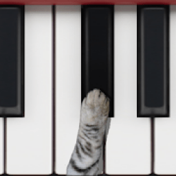 ikon Cat Piano