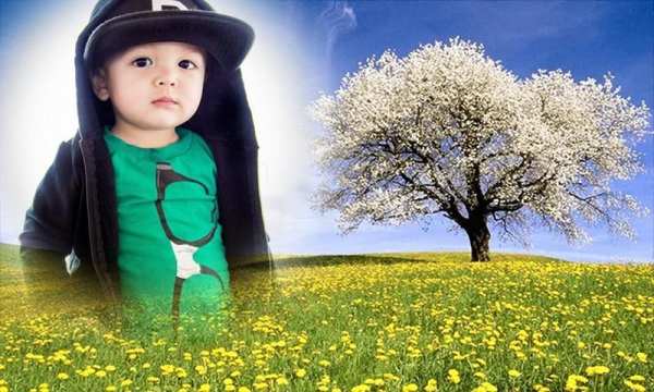 Beautiful Photo Frame Garden Photo Frame app screenshot 12