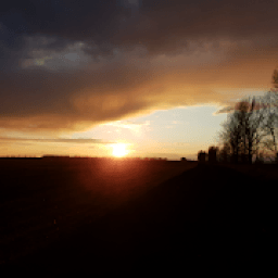 ikon 394 ответа