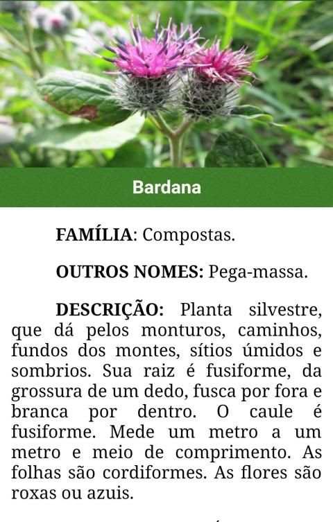 Plantas Medicinais e seus usos screenshot 6