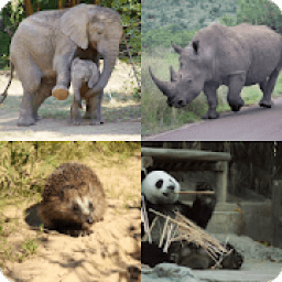 Adivina que animal es - Quiz Game icon