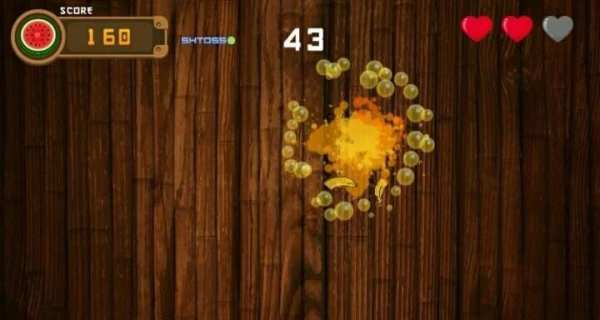 Ninja Fruit Master screenshot 5