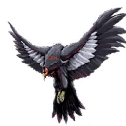 BLACK BIRD 2.5