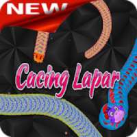 New Snake Worm offline Zone Zona Cacing