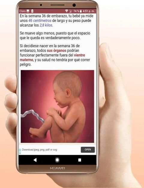 Embarazo Semana a Semana स्क्रीनशॉट 3