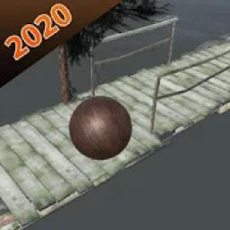 NEW Extreme Ball Balancer 3D