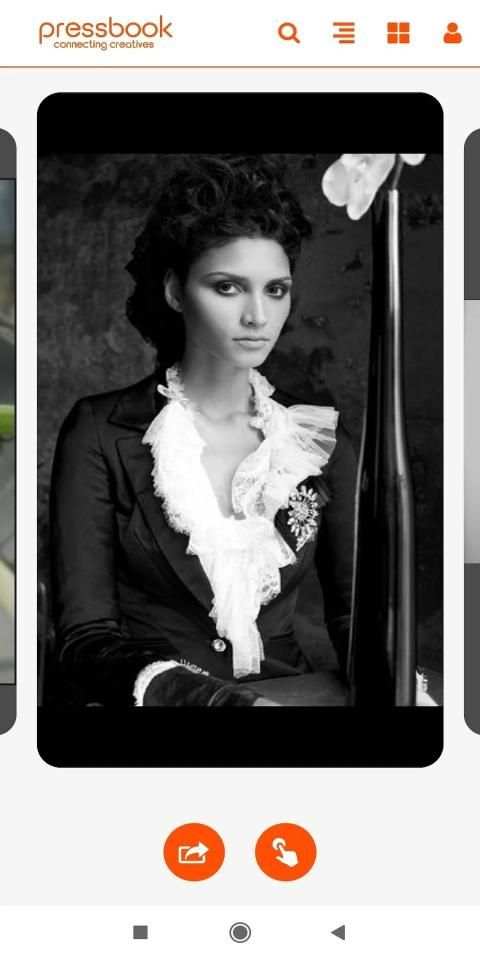 Pressbook screenshot 5