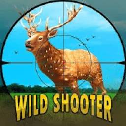 Deer Hunting Wild Animal Shooting