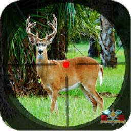 Safari Deer Hunting Africa: Best Hunting Game 2020
