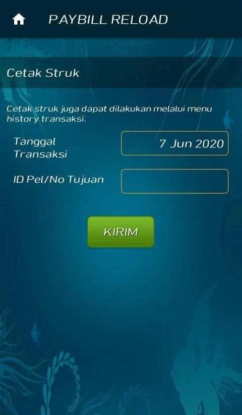 PAYBILL RELOAD screenshot 2