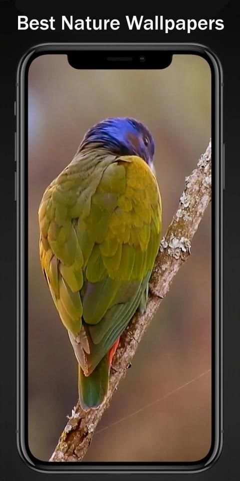 Walzone HD-Live Wallpaper स्क्रीनशॉट 2