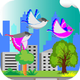 Young Bird आइकन