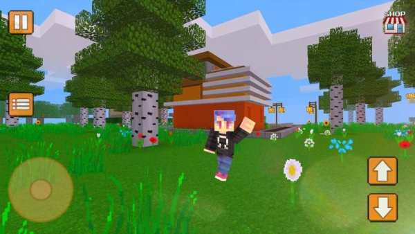 Mega City Craft screenshot 1