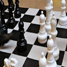 Chess Titans 3D: free offline game