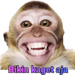 Perang Gambar Monyet - WAStickersApp आइकन