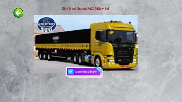 SKINS WORLD TRUCK DRIVING SIMULATOR - WTDS screenshot 2