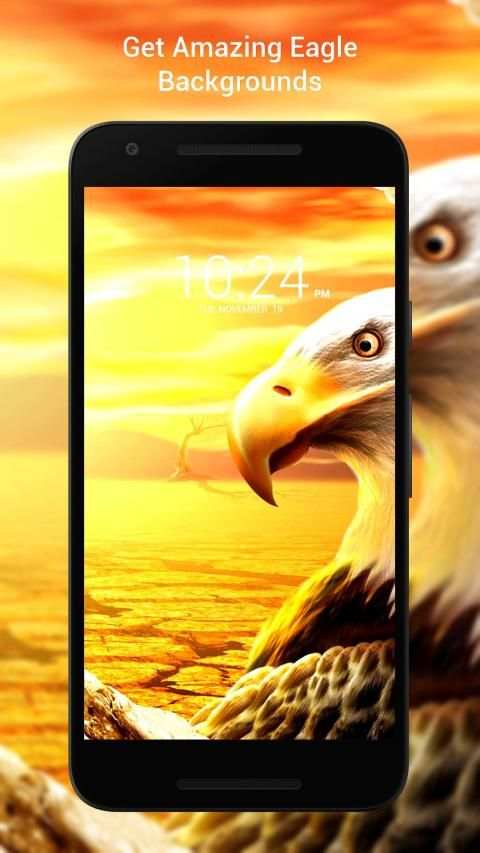 Panduan Eagle Wallpaper Hd screenshot 18