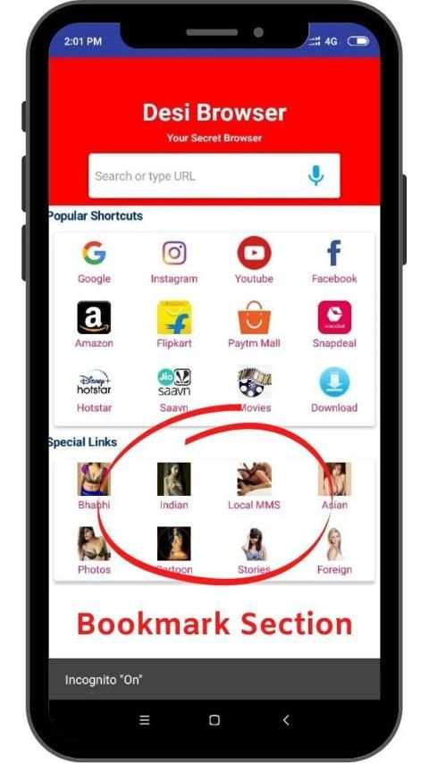 Desi Browser screenshot 1