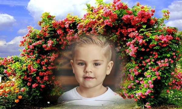 Beautiful Photo Frame Garden Photo Frame app screenshot 19