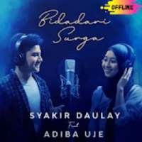 Bidadari Surga - Syakir Daulay mp3 Offline logo