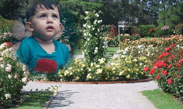 Beautiful Photo Frame Garden Photo Frame app screenshot 8