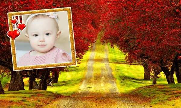Awesome Garden Frame Photo application screenshot 5