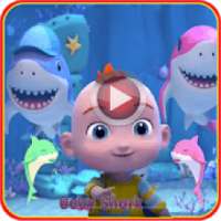 Best Baby Shark Videos~2020
