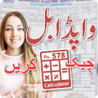 ikon Online Electricity Bill Checker for Wapda Pakistan