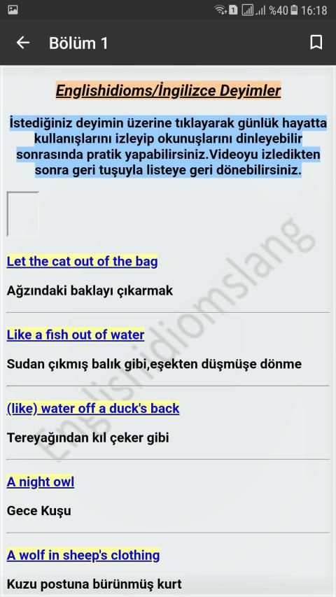 Englishidiomslang screenshot 6