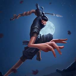 Ninja Adventures 1.0.1