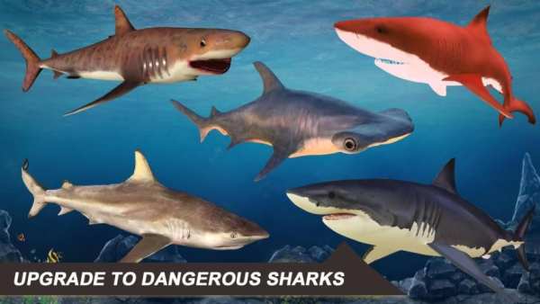 Shark Simulator 2018 स्क्रीनशॉट 2