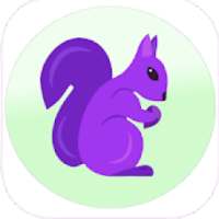 Squirrel VPN - Best VPN 2020