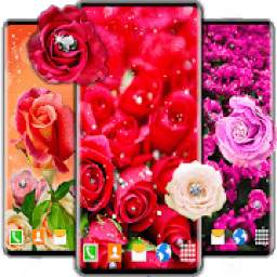 Diamond Shine Rose Live Wallpaper ❤️ HD Wallpapers