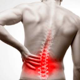 Lower Back Pain and Sciatica Relief Exercises आइकन