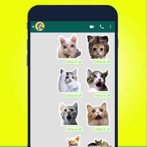 Mejor Stickers de Gato para WAStickerApps 2020 screenshot 6