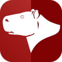 Turismo Capybara Arauca on 9Apps