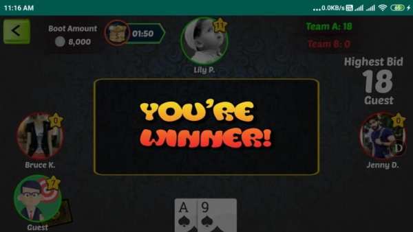 28 Cards Game स्क्रीनशॉट 4