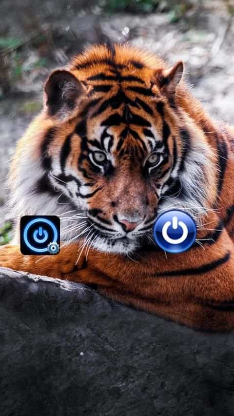 Screen Off, Lock and Power Off स्क्रीनशॉट 2