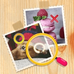 Find The Differences 100 icon